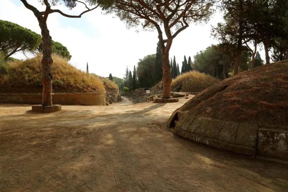 Rowland'S Appartement Marina di Cerveteri Buitenkant foto